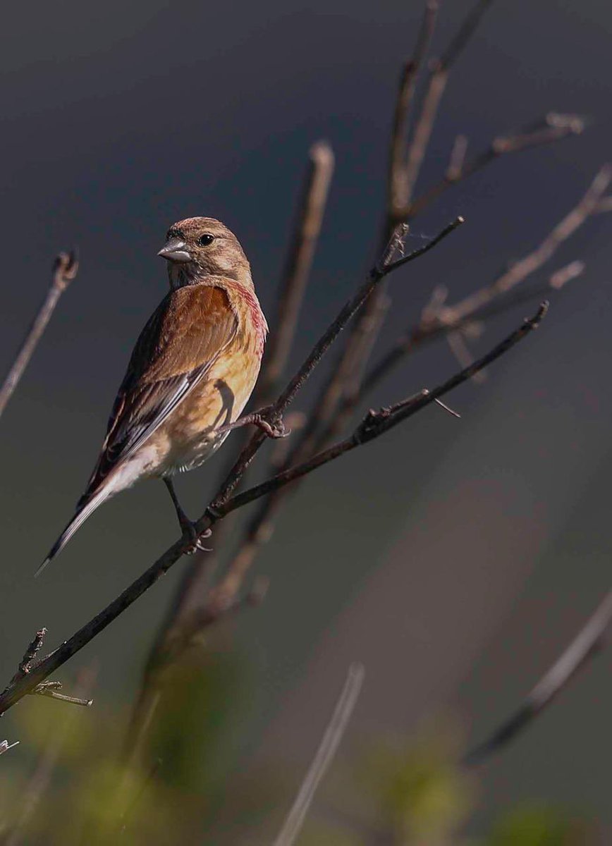 Enjoying some autumn sunshine….