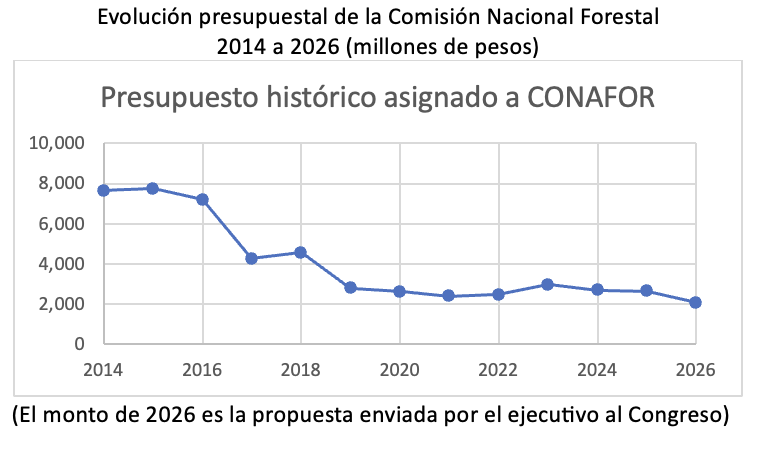 Consejo Civil Mexicano para la Silvicultura tweet media