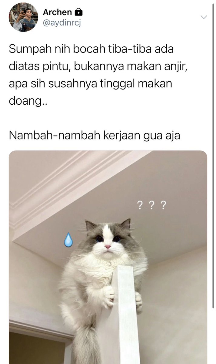 snowdancow's tweet photo. 5. https://t.co/I2MvpVysbG