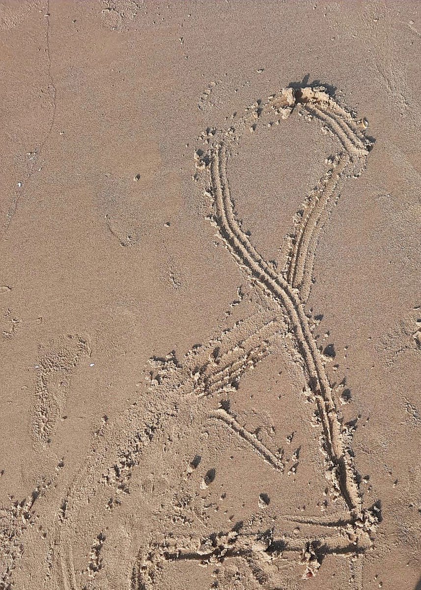 Lishay Miran-Lavi tweet media