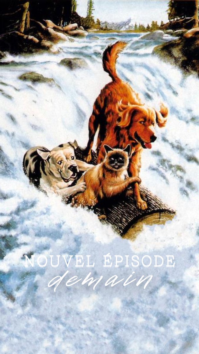 Adapte-Moi Si Tu Peux tweet media