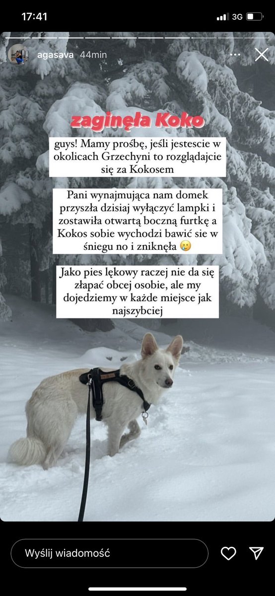 k tweet media