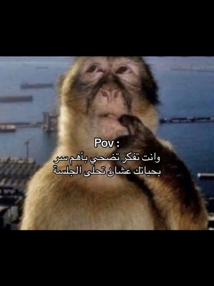 محمد (@xq9c_) on Twitter photo 