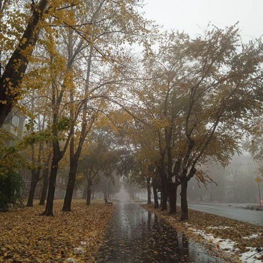 visualtherapy0's tweet image. the smell of new books, rain, and coffee &amp;gt;&amp;gt;&amp;gt;