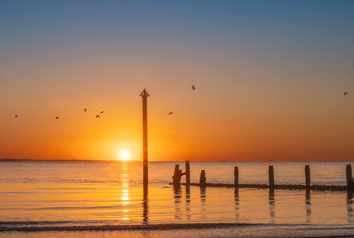 Coastal JJ UK tweet media