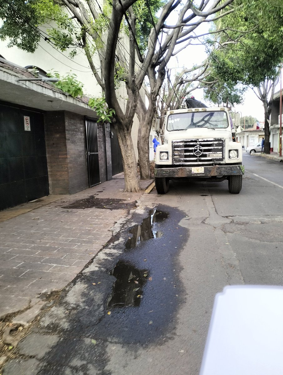 Mauricio Montaño tweet media