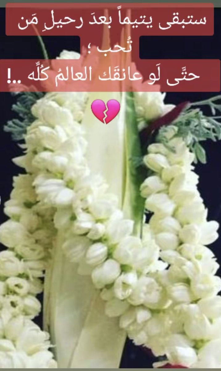 انشهد💔