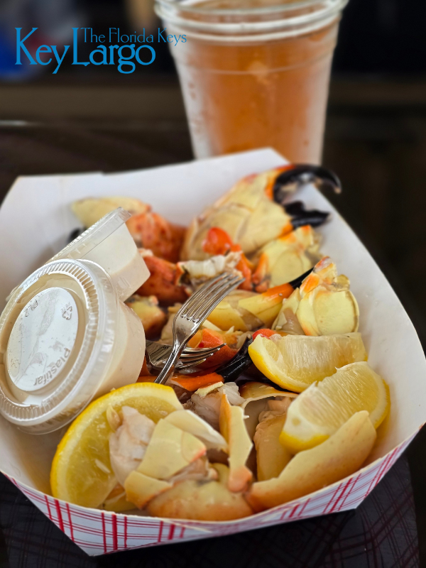 Florida Keys tweet media