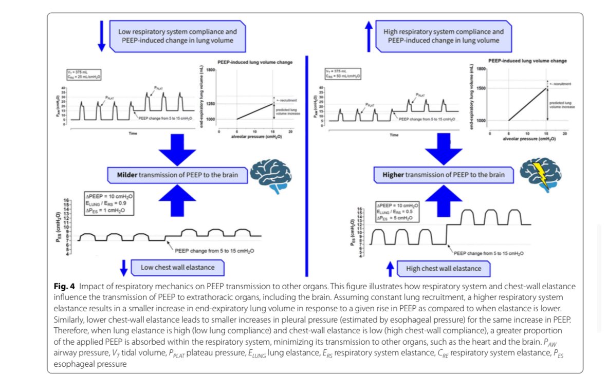 Peep in acute brain injured patients 
ICM2025