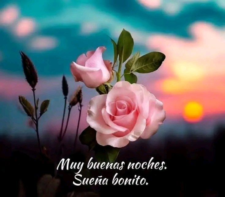Alba_lor's tweet photo. @versalles089 @BlayaMontes Buenas noches Versalles, dulces sueños amiga!!!
😘😘😘😘😘😘💜💜💜💜💜💜
#APOYOROCIO22S https://t.co/qRCqSOOnkp