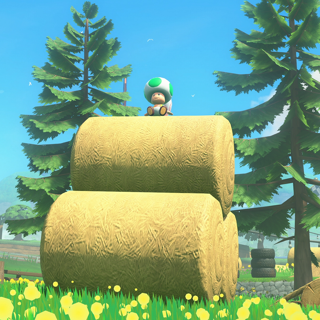 Alguns procuram agulhas em palheiros, outros procuram por Toads. #MarioKartWorld