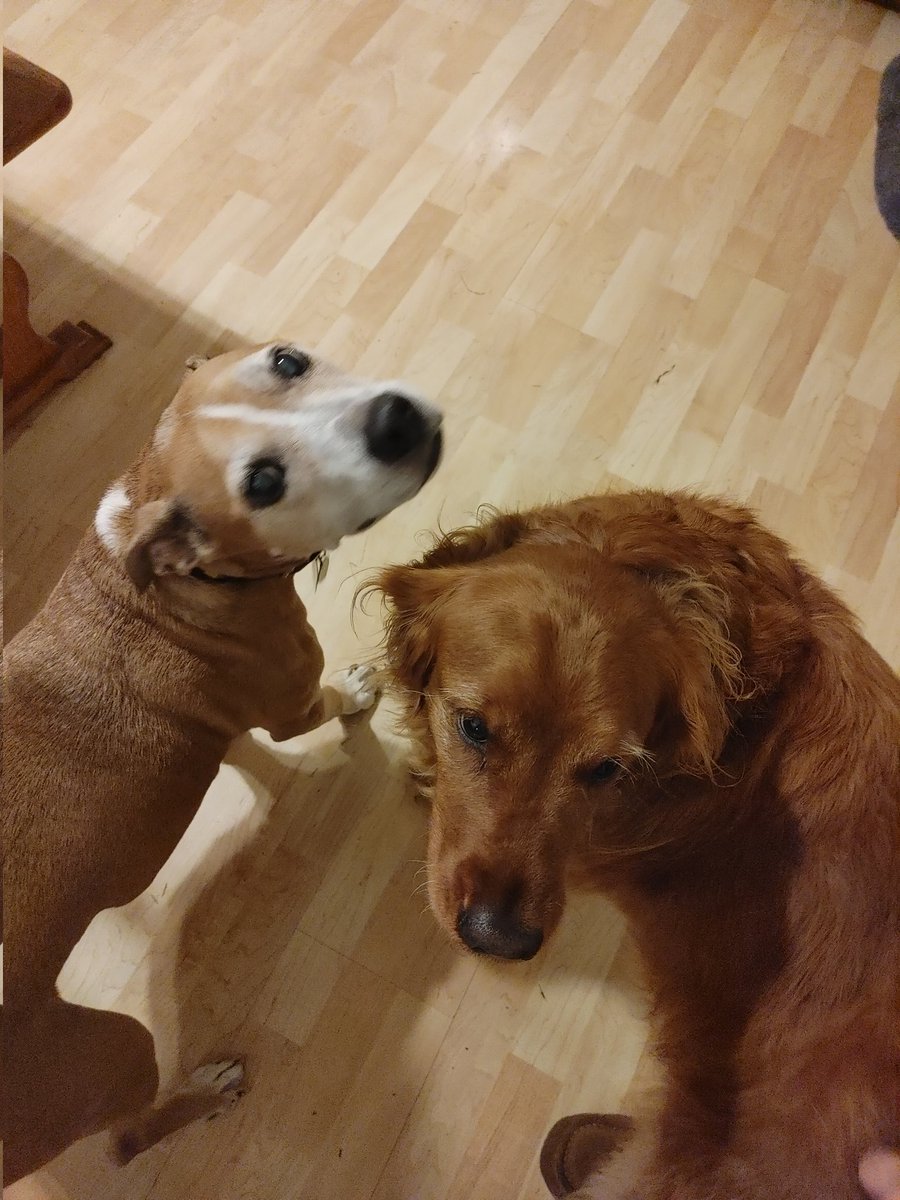 Ben Krehbiel tweet media