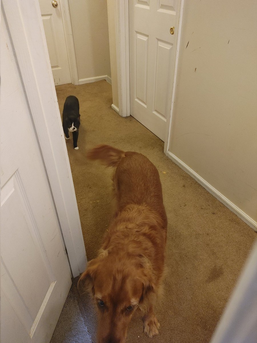 Ben Krehbiel tweet media