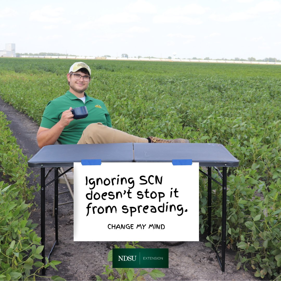 NDSUExtension's tweet image. SCN doesn’t wait for you to notice it  and it certainly doesn’t stop at property lines. 🤨

Test your soil, rotate your varieties and manage SCN before yield is lost. 

Contact your local NDSU Extension office for soil sample bags. 

#StopSCN #Soybeans #YieldProtection