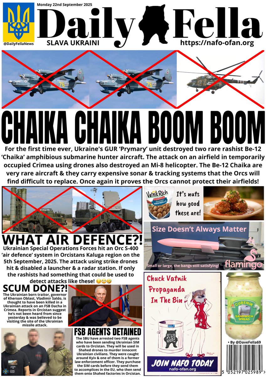 What time is it?! It’s Daily Fella time. Read about Ukraine destroying two russian planes &amp; a helicopter, more air defence taken out &amp; traitors get their comeuppance!

#DailyFella #DailyFellaNews #SlavaUkraini #NAFO