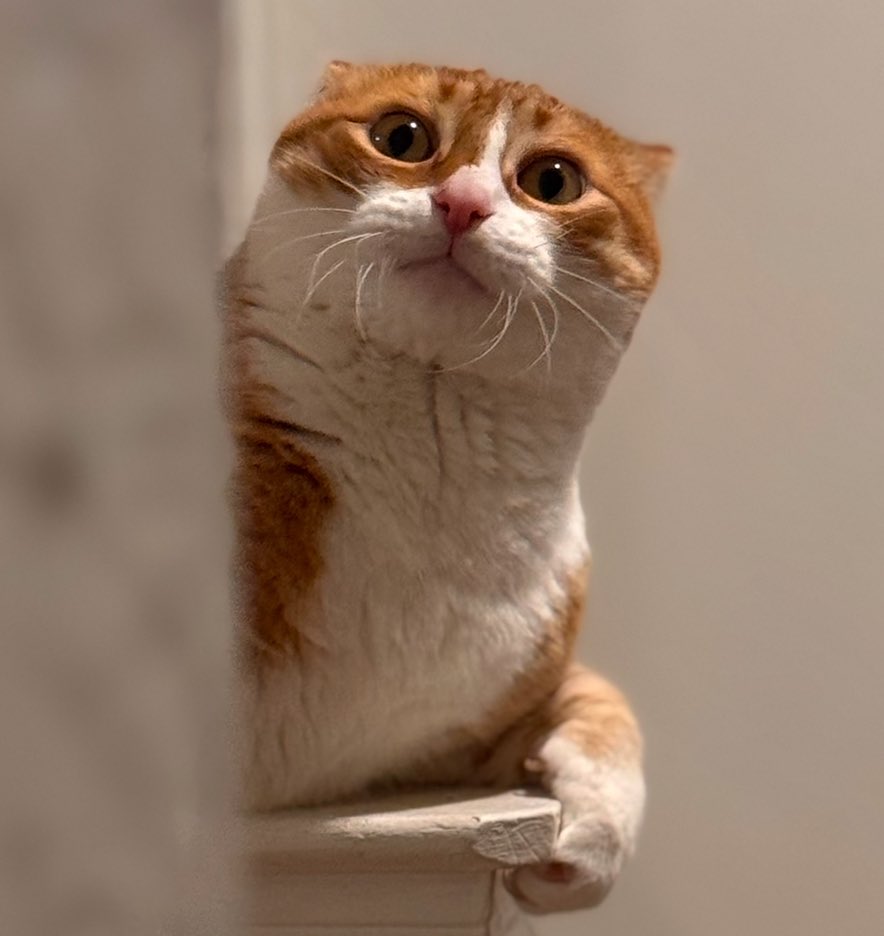 Kali Rhe ➡️ HomeCon tweet media