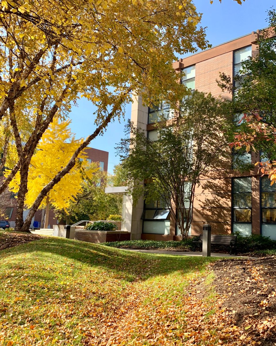 Fall views at CWRU &gt; 

Happy first day of autumn, Spartans! 🍁 We’re looking forward to a gorgeous season ahead.