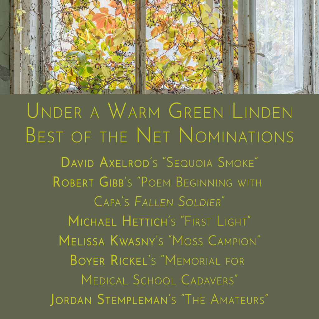 Congratulations to our Best of the Net Anthology nominees! You can read all of the work in Issue 19: greenlindenpress.com/issue19
