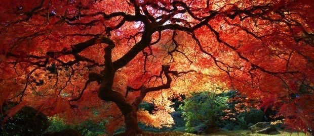 Tantrapa's tweet photo. Happy Equinox! 
Please enjoy the first day of Autumn! https://t.co/5LsboM7Vqi