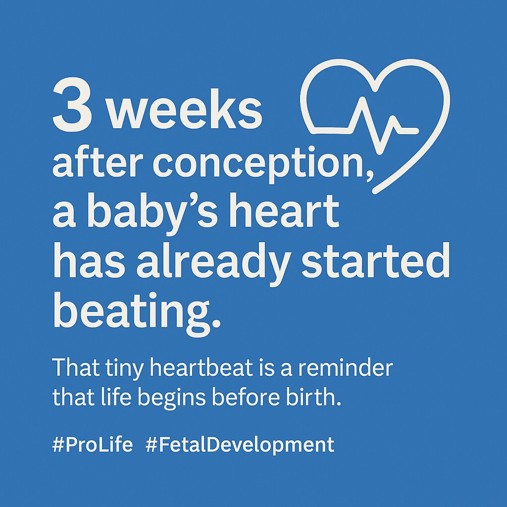 WilberfProject's tweet image. Did you know this?