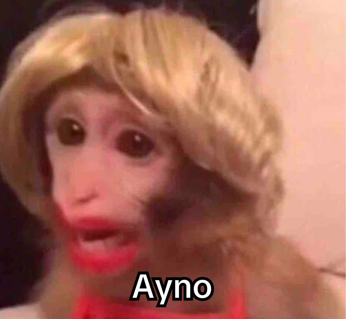 Koko_Chan25's tweet photo. @BlancaReverie Uy no, Petey no debiste decirle eso xD https://t.co/F4hsyCQguD