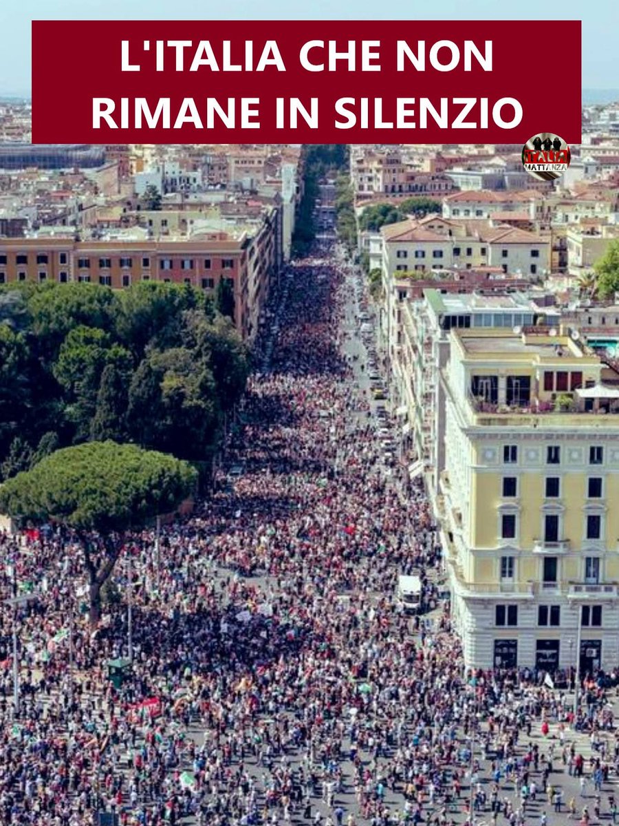 Mauri05_2020's tweet photo. manganellata sul polpaccio e lo lasciano andare.
Quello che non doveva passare in TV sono queste immagini. https://t.co/JUjEjcPpgi