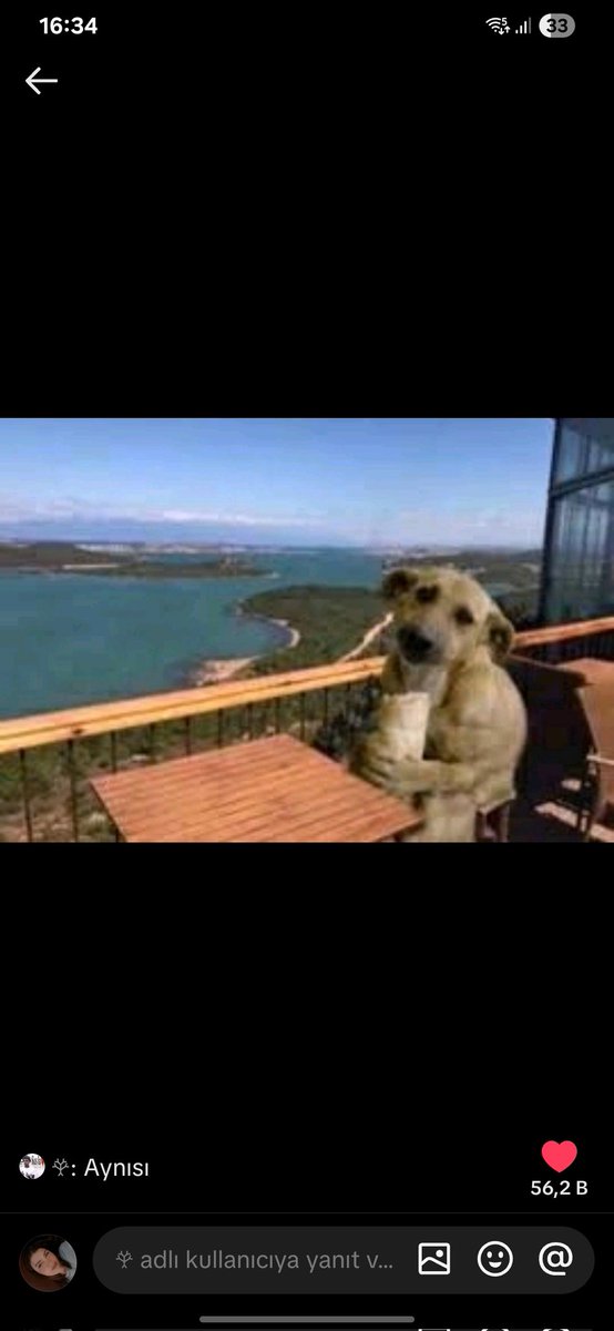 #uzakșehir
Boranı görünce aynı bu şekilde oldum