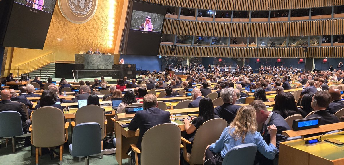 Asistimos a Conferencia de Alto Nivel para Arreglo Pacífico de Cuestión #Palestina e Implementación de Solución Biestatal, como muestra de rechazo a genocidio israelí en #Gaza, nuestro invariable compromiso con pueblo palestino y reconocimiento de Estado Palestino independiente.