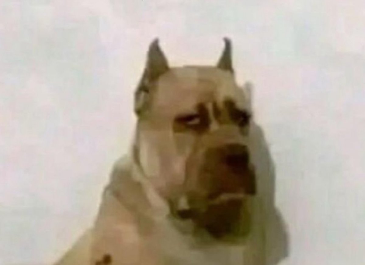 سعود tweet media