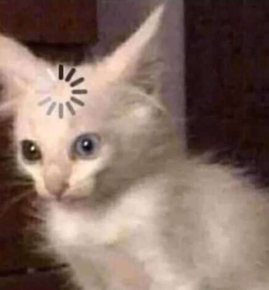 AleBruyer tweet media