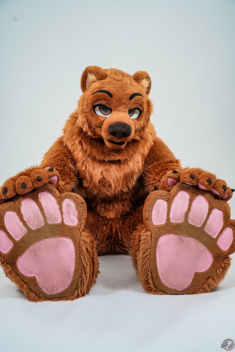 meekthebear's tweet image. Some pawslop to brighten up your Monday? Don't say Papa Bear never did nothing for ya~ #FursuitEveryday #steptember