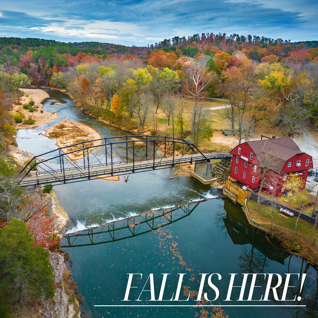 First National Bank of NWA tweet media