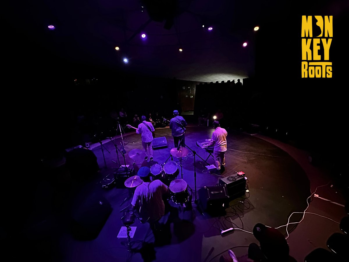 Monkey Roots tweet media