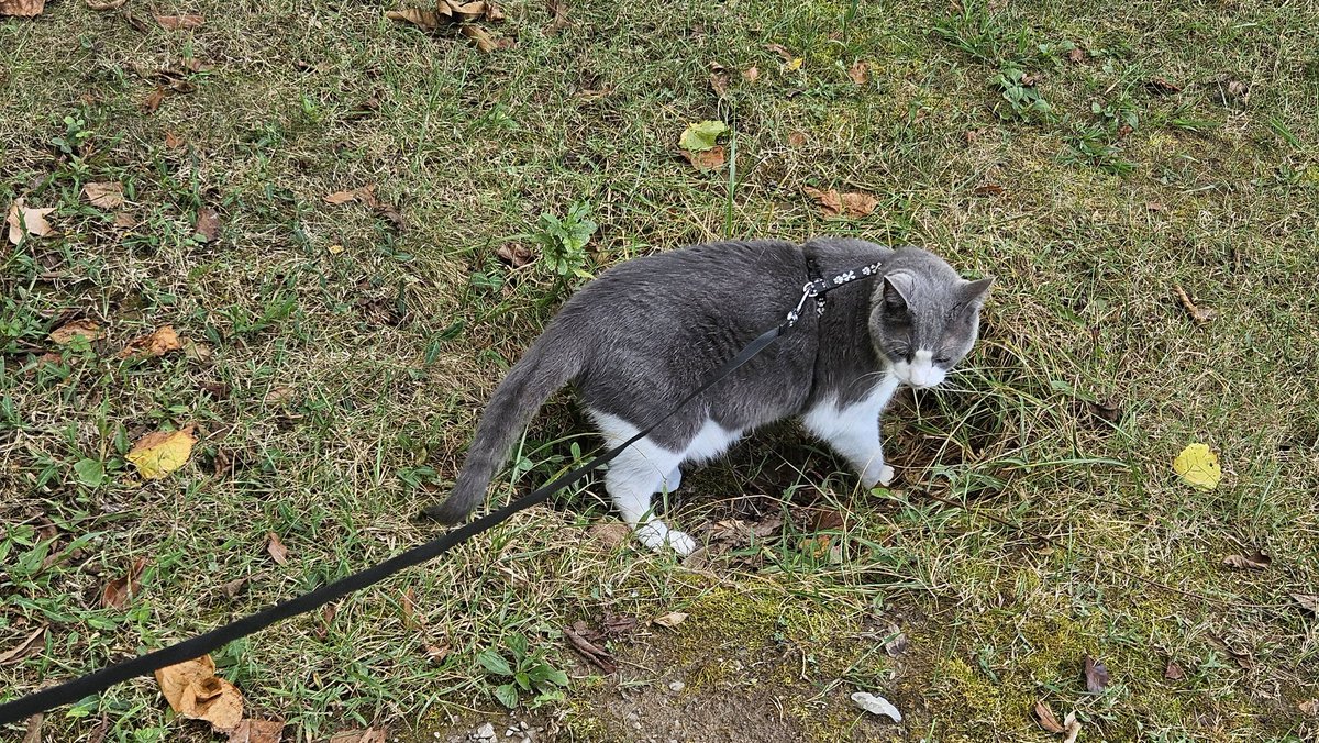 Found this Fricking Epic Hole. Hashtag #MyHole