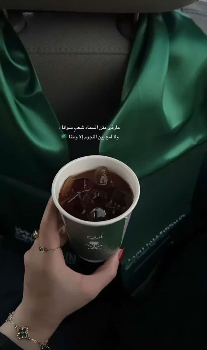 السلام عليكم ورحمة الله وبركاته 🤍

بمناسبة #اليوم_الوطني_السعودي95 كل واحد يحولي 95 ريال  لعيون الوطن 😁💚