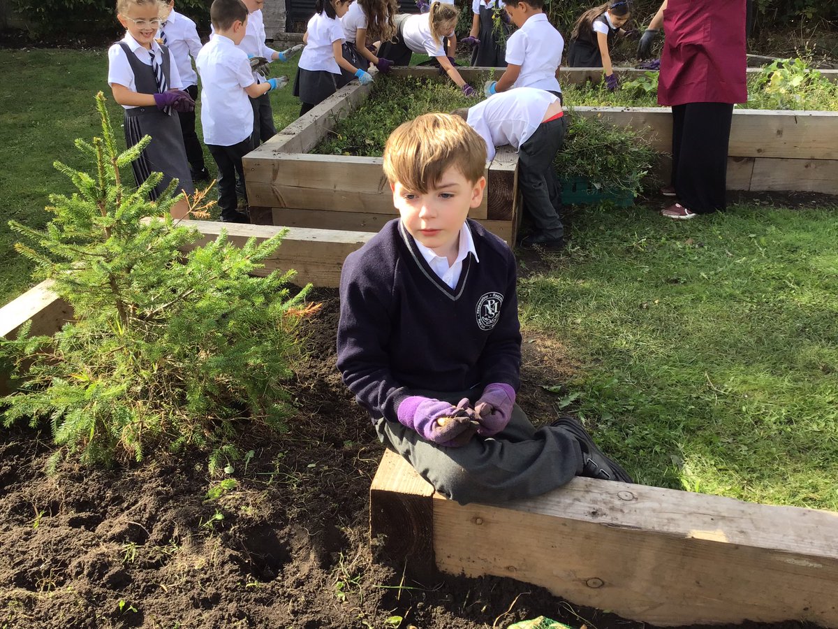 Miss Spalvieri (@missspalvieri92) on Twitter photo Some fantastic gardeners in 2.2! We began deweeding the flower beds before planting bulbs for next spring <a href="/Year2Monksdown/">Year2@MonksdownSchool</a> <a href="/appleofmyeyepl/">Apple of my Eye HQ</a> Some fantastic gardeners in 2.2! We began deweeding the flower beds before planting bulbs for next spring <a href="/Year2Monksdown/">Year2@MonksdownSchool</a> <a href="/appleofmyeyepl/">Apple of my Eye HQ</a>