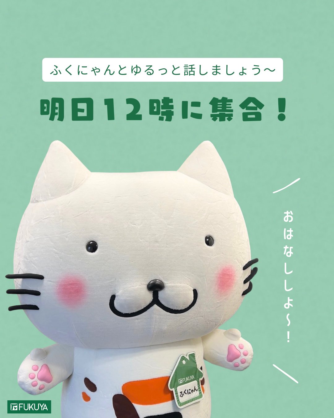 ふくにゃん｜福屋不動産販売【公式】🐾 on X: 