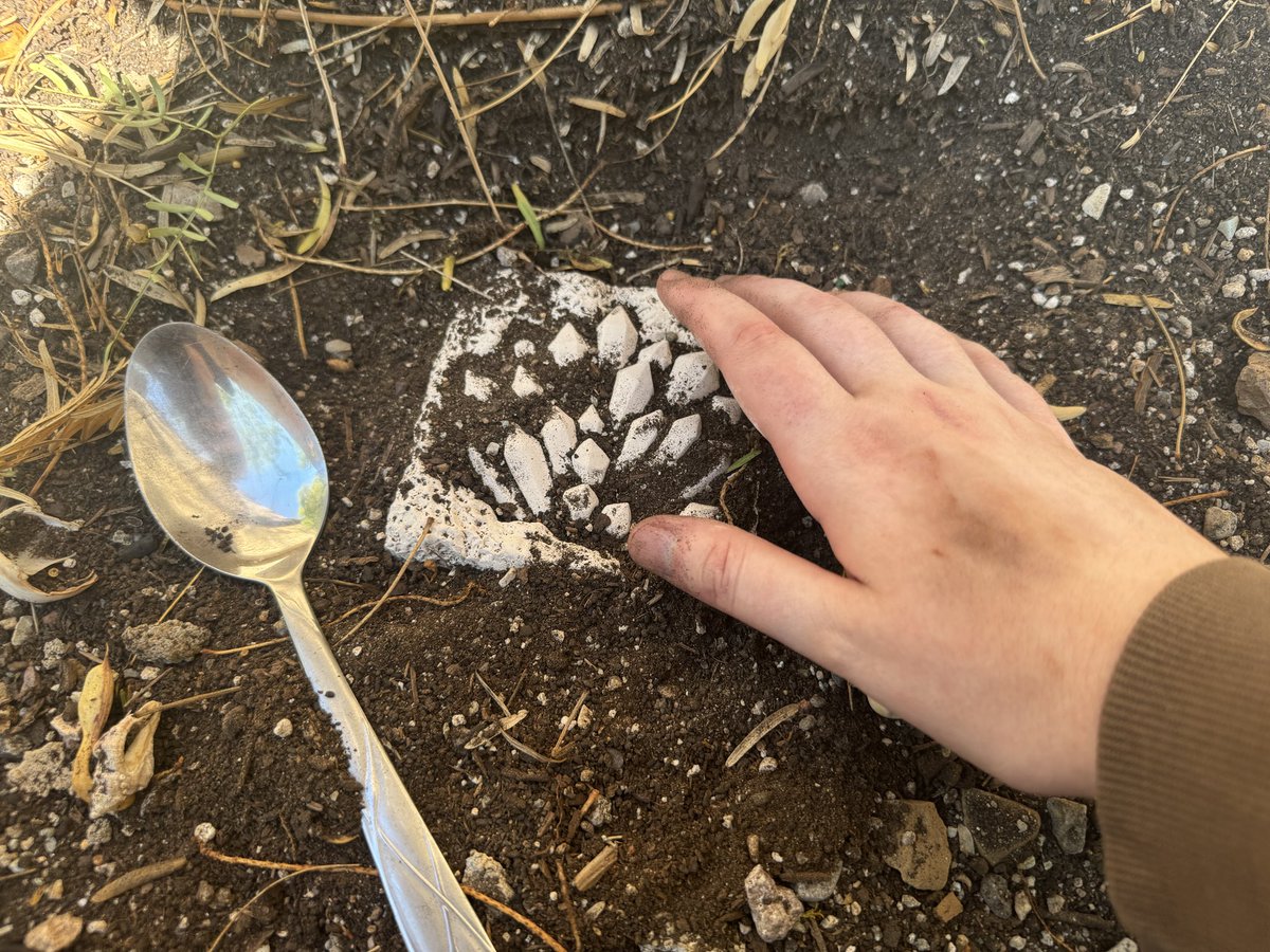 Sherbertquake @ LVL UP EXPO !! tweet media