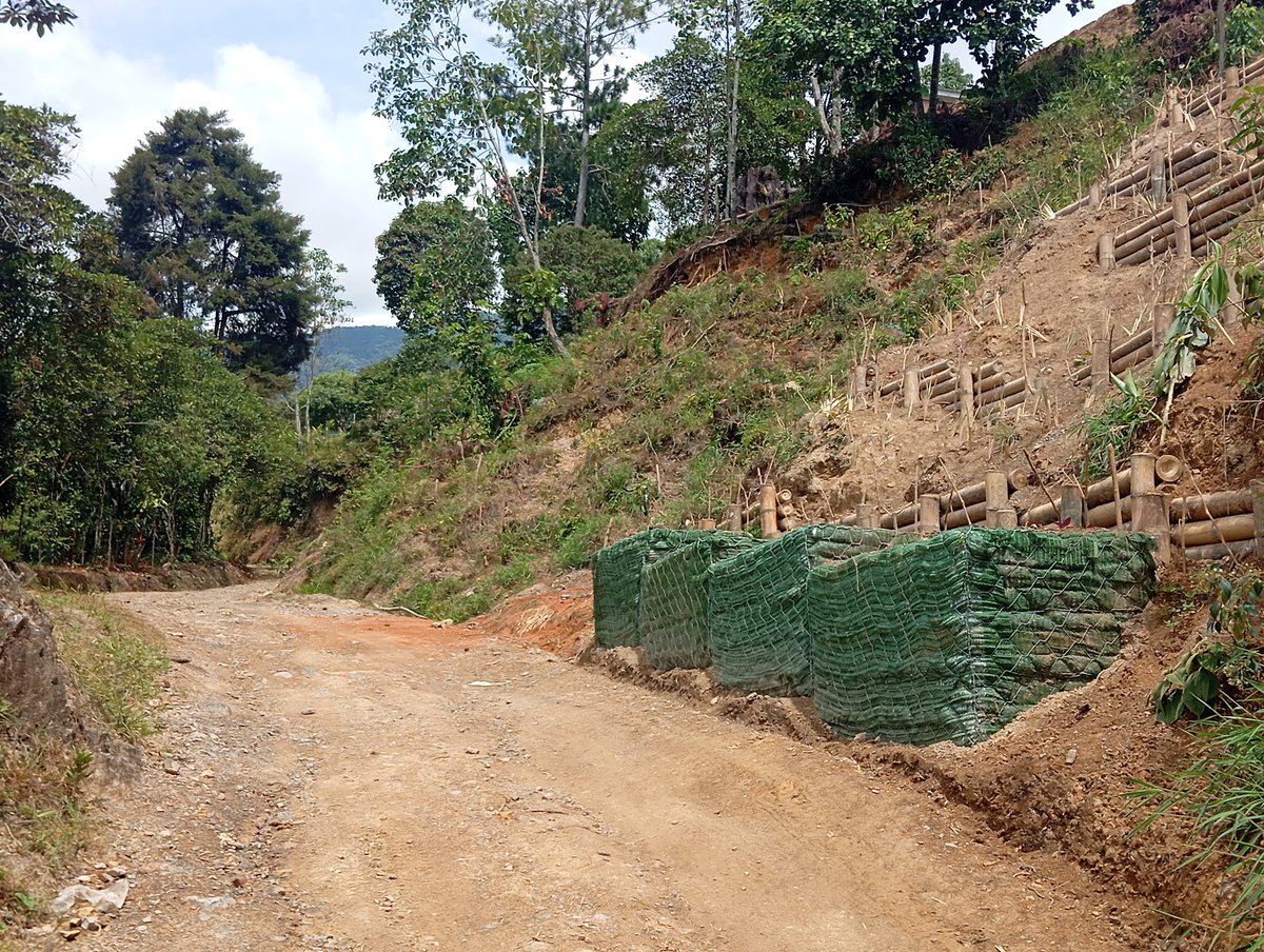 MUROS VIVOS HÍBRIDOS: muy eficientes y eficaces en la estabilización de taludes y laderas. Son verdaderas Soluciones basadas en la Naturaleza SbN que pueden ser implementados por las propias comunidades. 

Falta más decisión política.