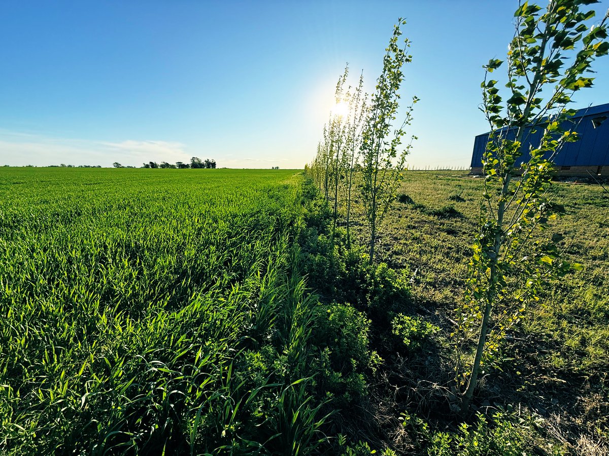 Acá en La Pampa, hicieron una ley, que prohíbe aplicar a menos de 500 mts de los centros urbanos.

Lo único que hay que exigir es que se hagan las cosas bien! Con eso alcanza y sobra