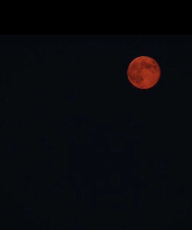 “Aya mı gülümsedin..?
Bu ne güzel gece..” dedi.