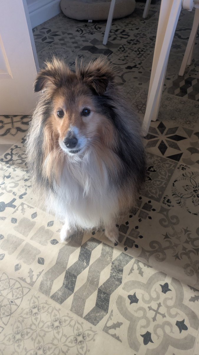 fifimac79's tweet image. Monday @ManMetUni #CharteredManagement #Assignment