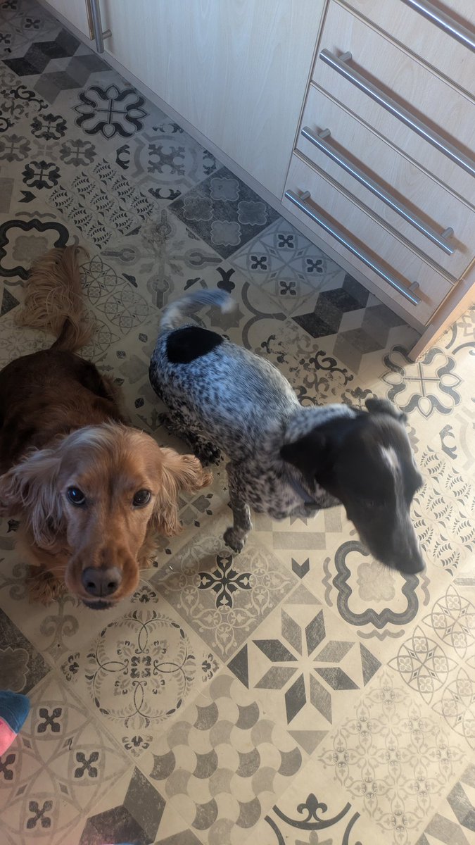 fifimac79's tweet image. Monday @ManMetUni #CharteredManagement #Assignment