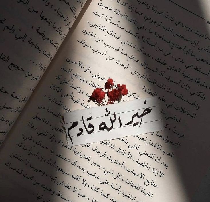 m elhosseny (@melhossseny) on Twitter photo 