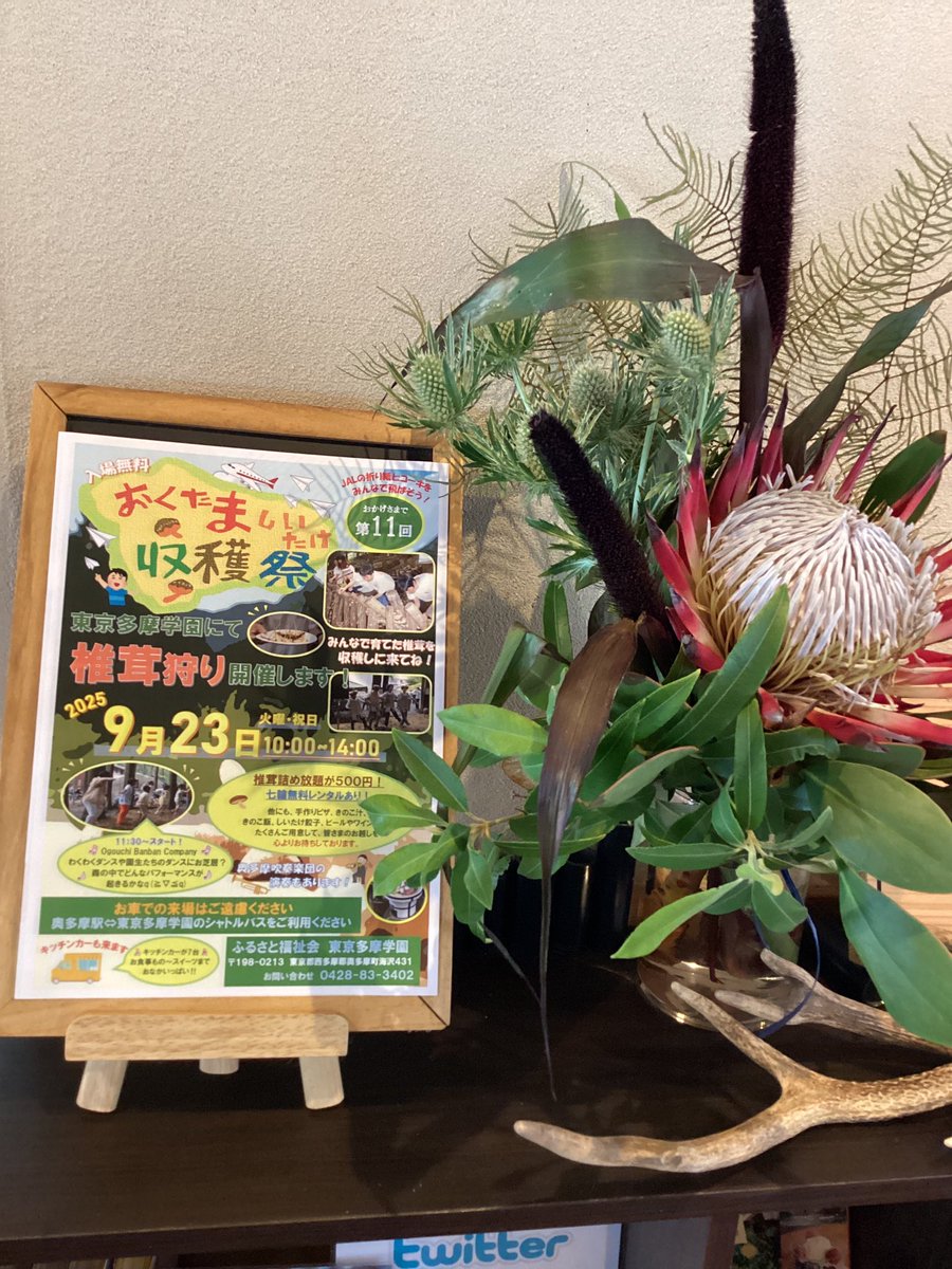 今日は、収穫祭‼️
椎茸の準備もオッケー👌
皆さんのご来園お待ちしてます🍄