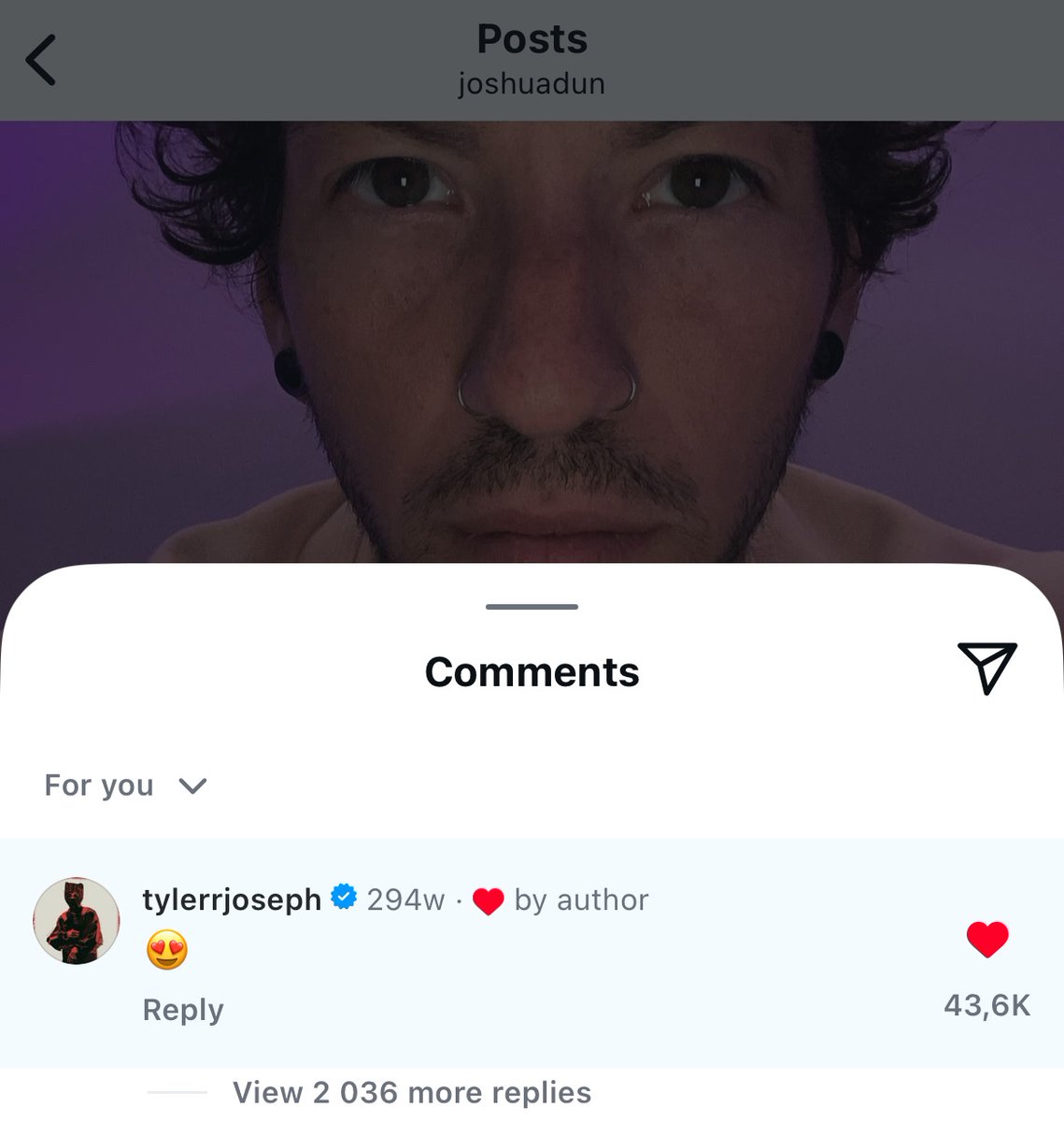 majsøn tweet media