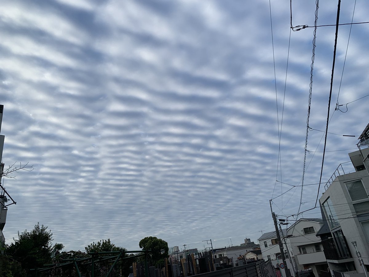 qoochannels's tweet photo. 先生から���お久メールw
地震雲？
#災害
#地震雲
#秋
#秋の気配 https://t.co/23DnE78Iat