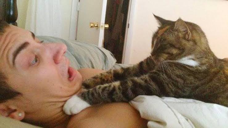 orco blanco tweet media