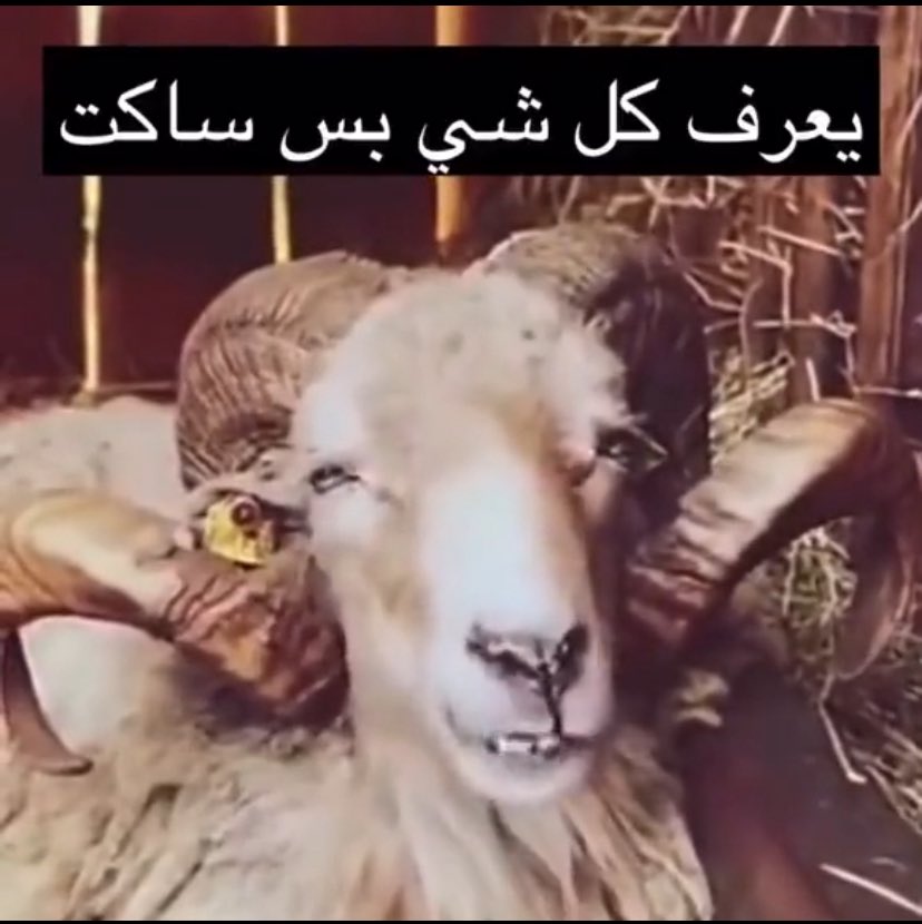 وَهَــب (@_1whb) on Twitter photo 
