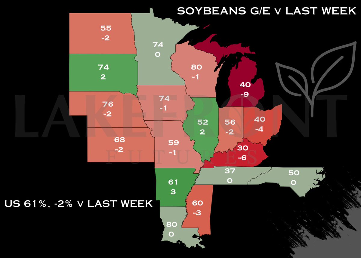 Corn &amp; Soybeans G/E Rating v Last Week: 🌽 🌱